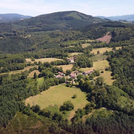 Saint-Victor-Montvianeix Domaine De Montvianeix Bed & Breakfast エクステリア 写真