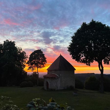 Saint-Victor-Montvianeix Domaine De Montvianeix Bed & Breakfast エクステリア 写真