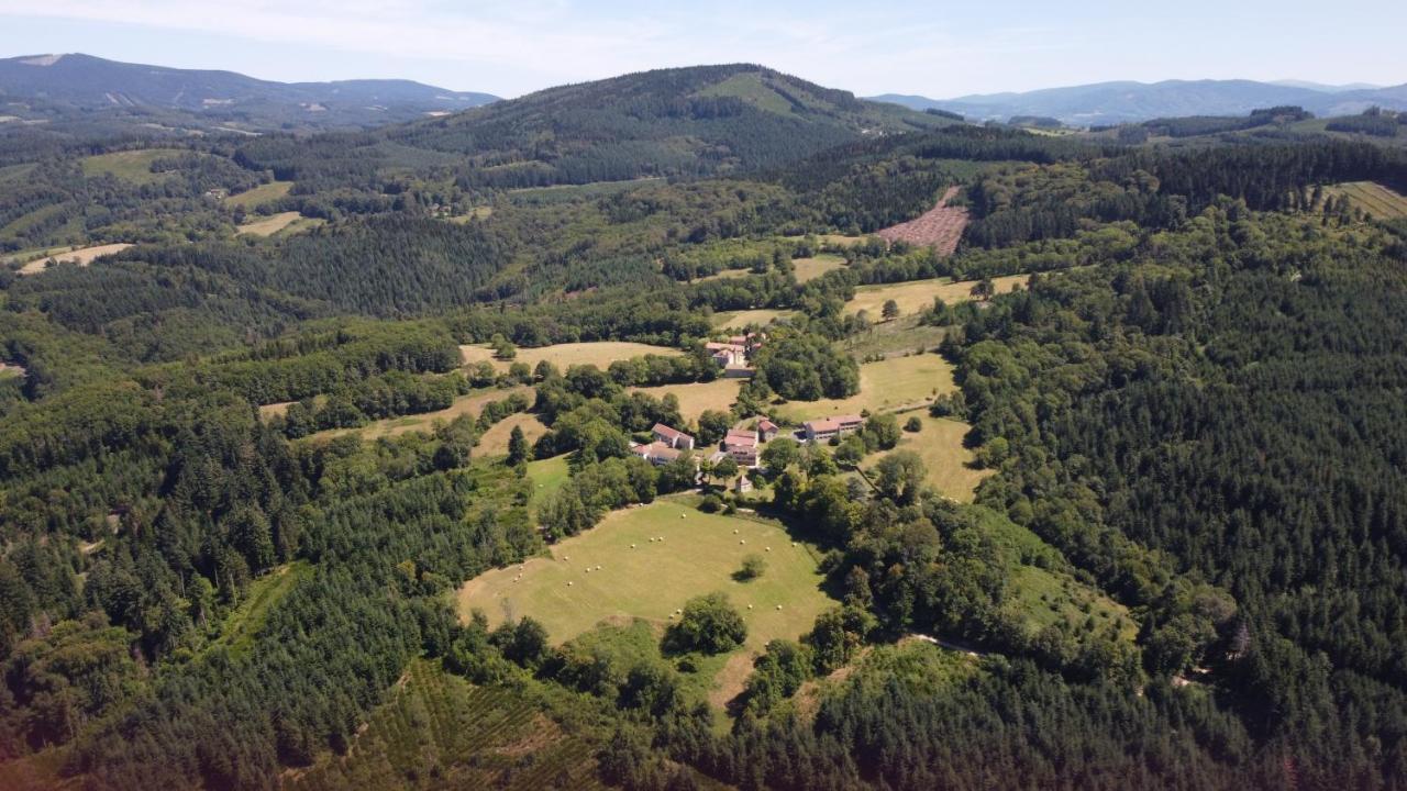 Saint-Victor-Montvianeix Domaine De Montvianeix Bed & Breakfast エクステリア 写真
