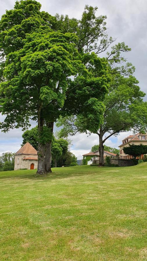 Saint-Victor-Montvianeix Domaine De Montvianeix Bed & Breakfast エクステリア 写真