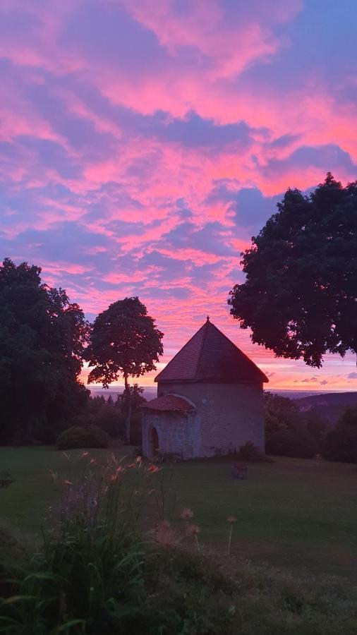Saint-Victor-Montvianeix Domaine De Montvianeix Bed & Breakfast エクステリア 写真