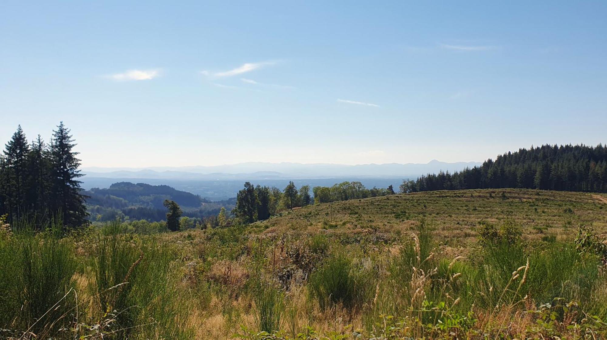 Saint-Victor-Montvianeix Domaine De Montvianeix Bed & Breakfast エクステリア 写真