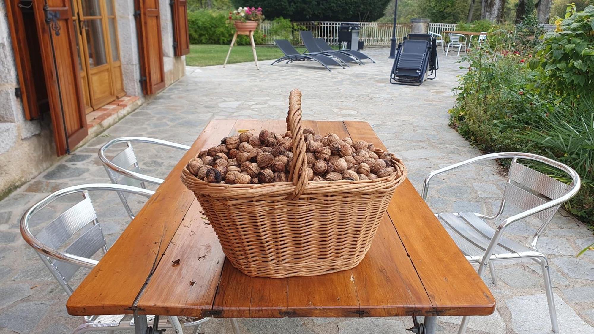 Saint-Victor-Montvianeix Domaine De Montvianeix Bed & Breakfast エクステリア 写真