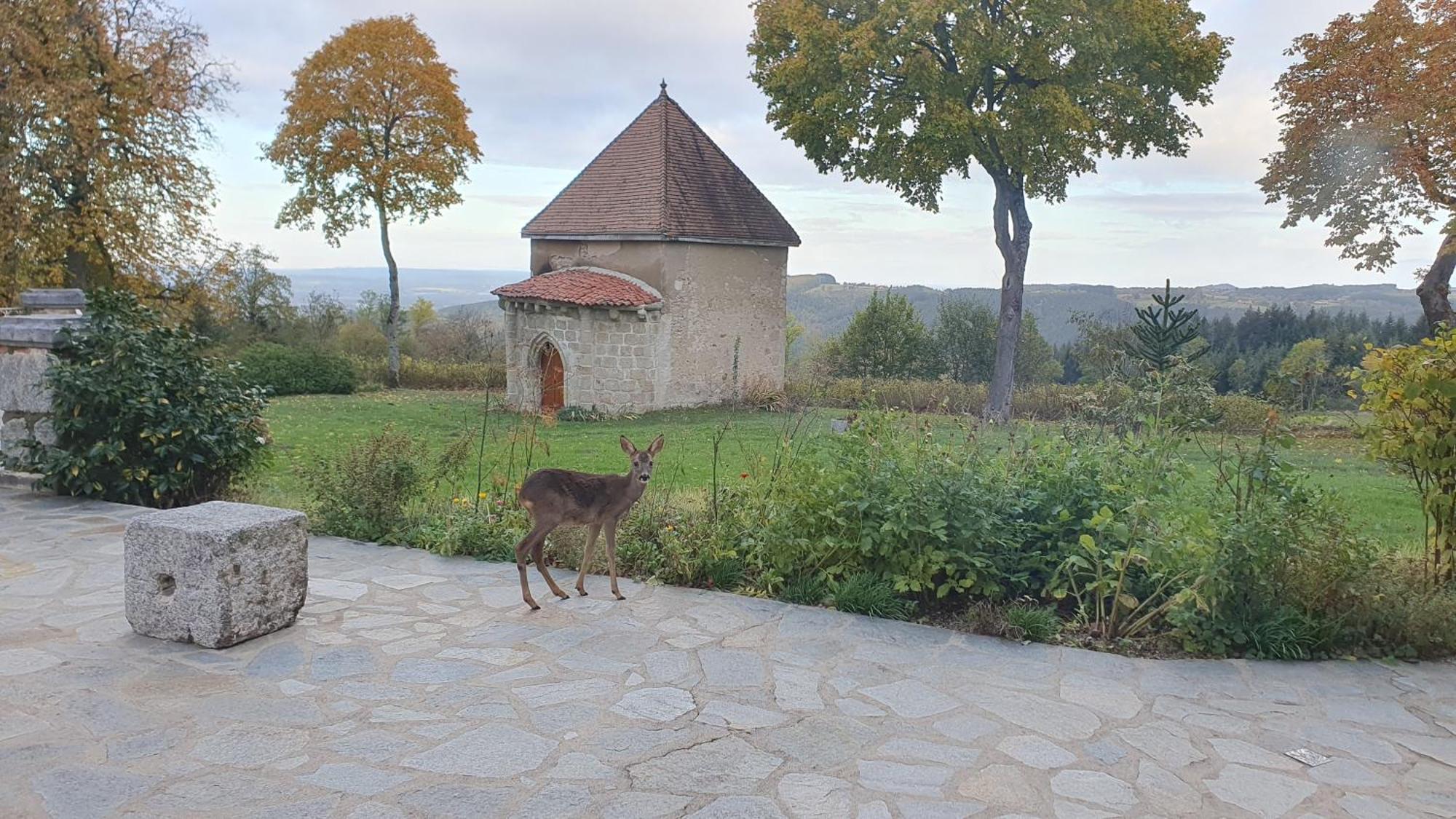 Saint-Victor-Montvianeix Domaine De Montvianeix Bed & Breakfast エクステリア 写真
