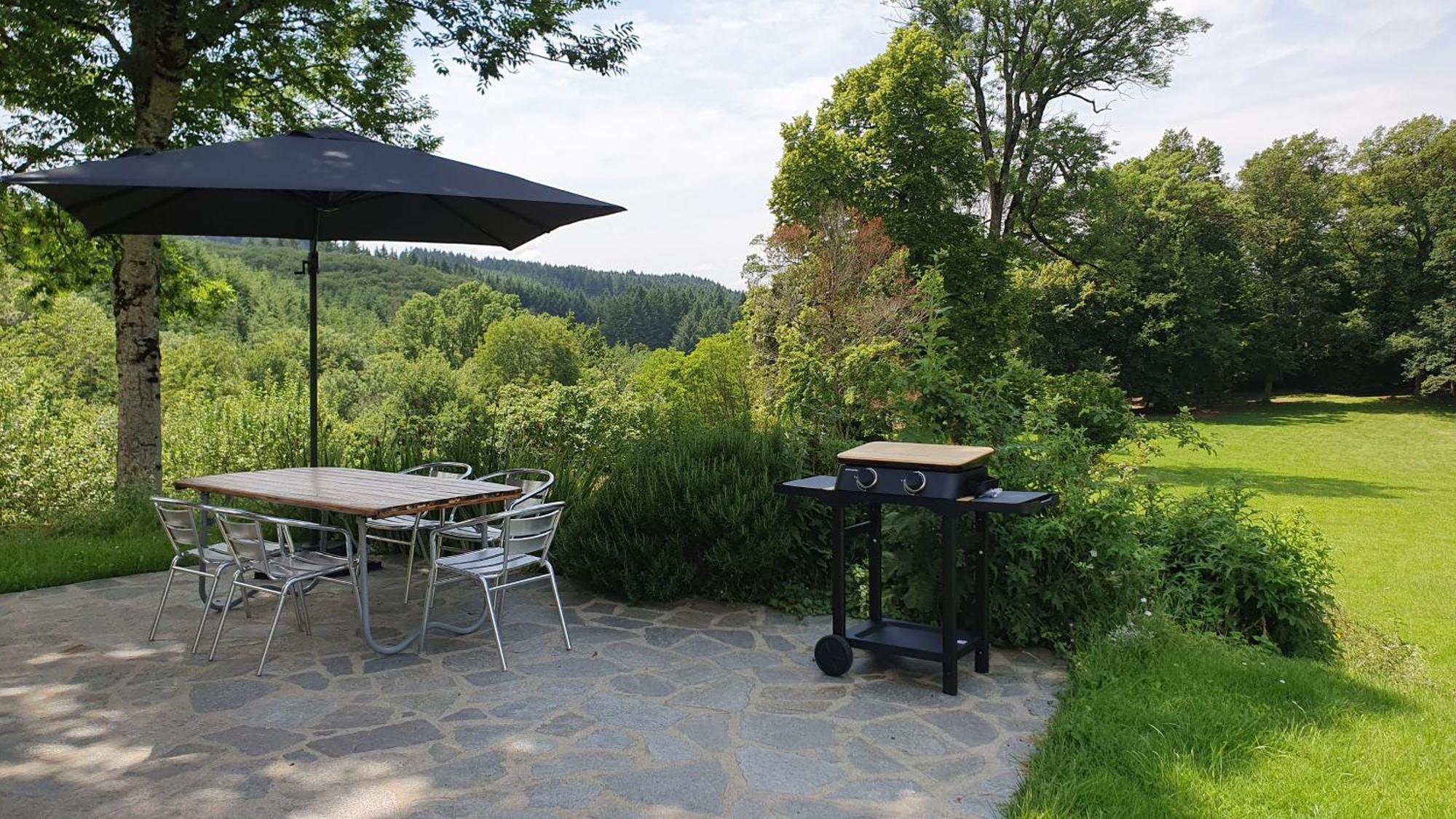 Saint-Victor-Montvianeix Domaine De Montvianeix Bed & Breakfast エクステリア 写真